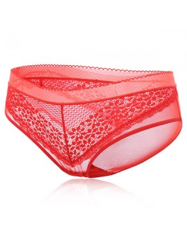 Sexy See Through Mesh Breathable Mid Waist Panties For Women