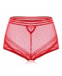 Plus Size High Waist Tummy Control Hollow Lace Panties